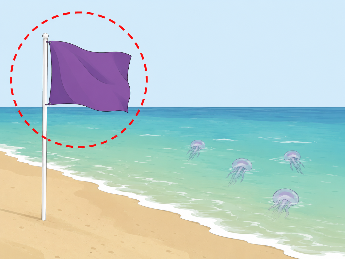 A purple beach flag warning about dangerous marine life in the water.
